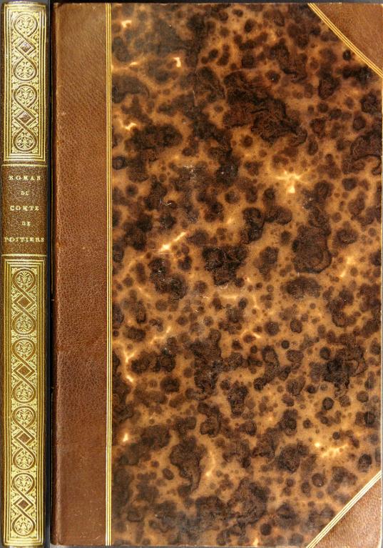 Roman du comte de Poitiers