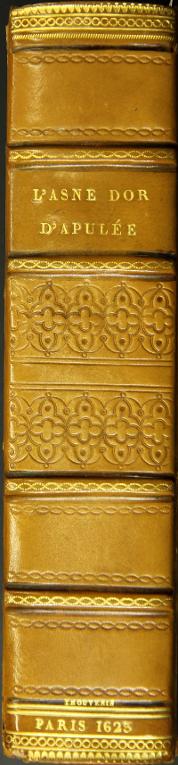 Les métamorphoses ou l'âne d'or d'Apulée