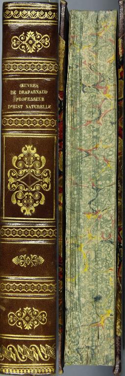 Œuvres sur divers sujets d'histoire naturelle