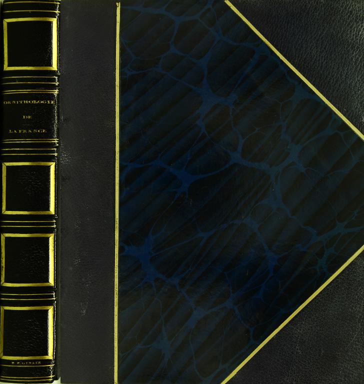 Ornithologie abrégée de la France