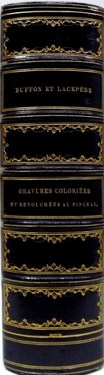 Œuvres complètes de Buffon mises en ordre par Lacepède