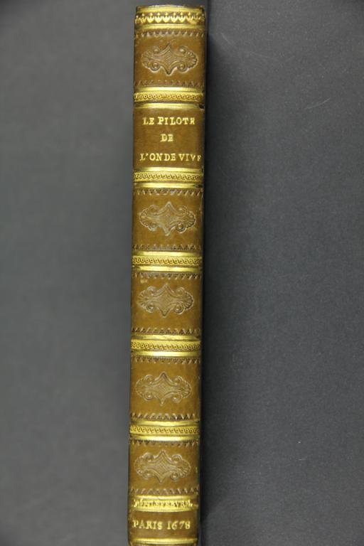 Le pilote de l'onde vive ou le secret du flux et reflux de la mer