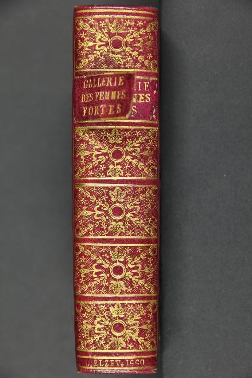 La gallerie des femmes fortes