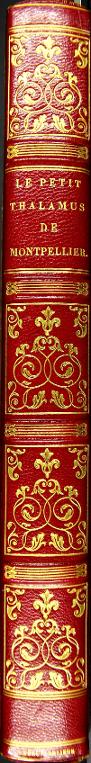 Le Petit Thalamus de Montpellier