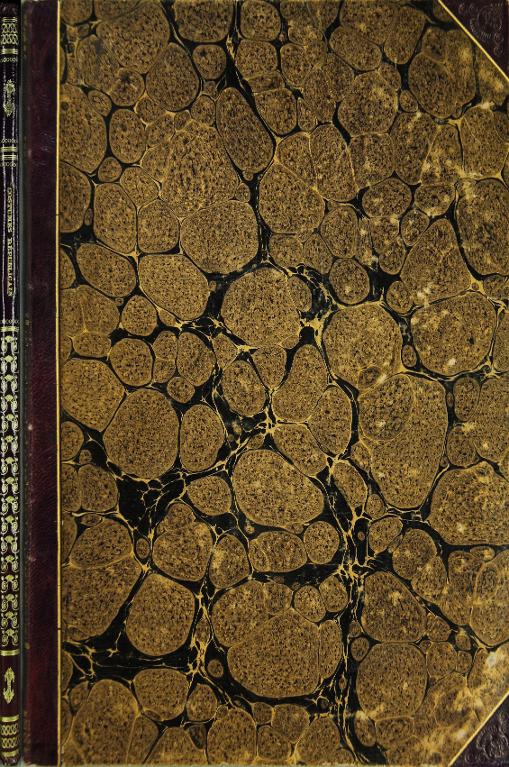 Collection des nouveaux costumes sous le Directoire exécutif