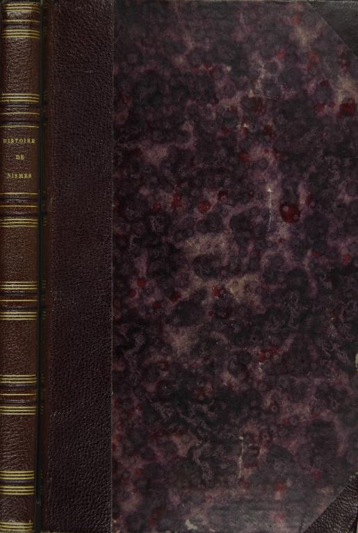 Histoire abrégée de la ville de Nîmes