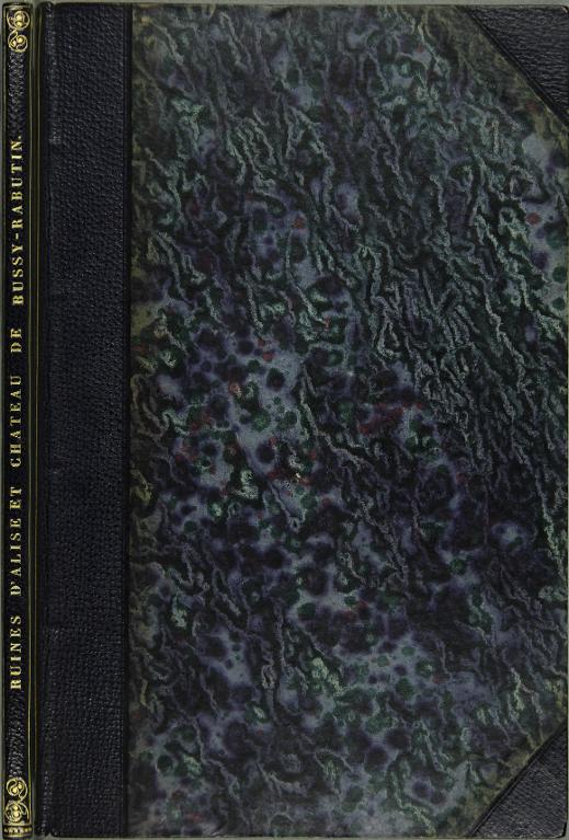 Souvenirs d'une visite aux ruines d'Alise