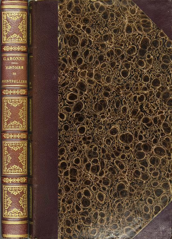 Histoire de la ville de Montpellier