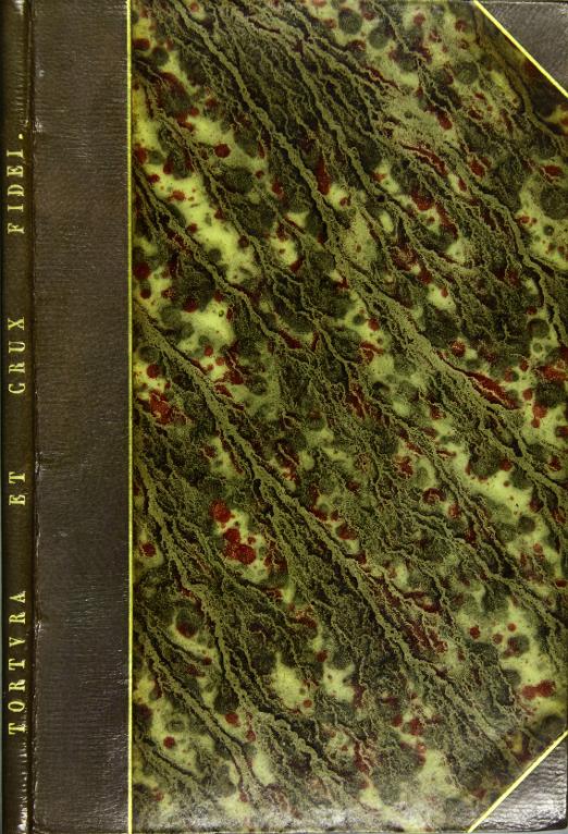 Tortura et crux fidei a Lutherianis sub Germania