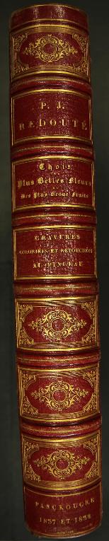 Choix des plus belles fleurs